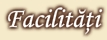 Facilitati Villa Alice**** Suceava