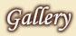 Photo Gallery Villa Alice**** Suceava